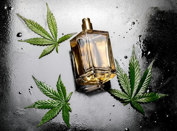 Combattre le stress oxydatif avec le pouvoir naturel du cbd